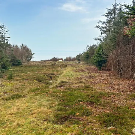 Cozy In With Sauna Spottrup