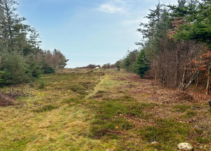 Cozy In With Sauna Spottrup